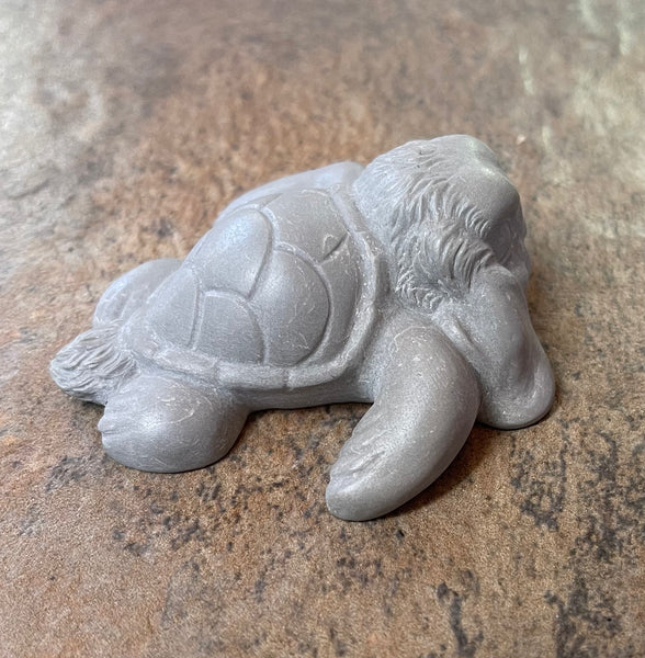 Flopkins the Sea Bunturtle