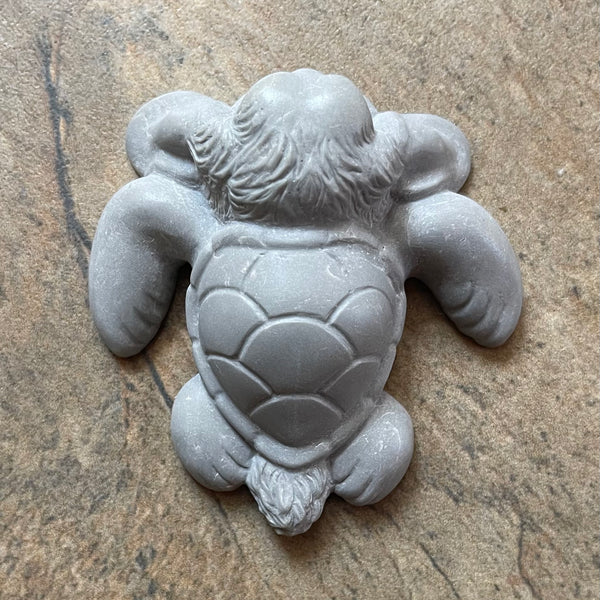 Flopkins the Sea Bunturtle