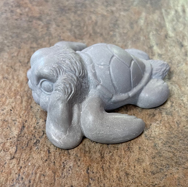 Flopkins the Sea Bunturtle