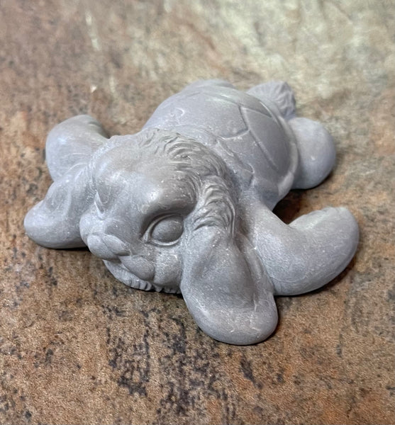 Flopkins the Sea Bunturtle