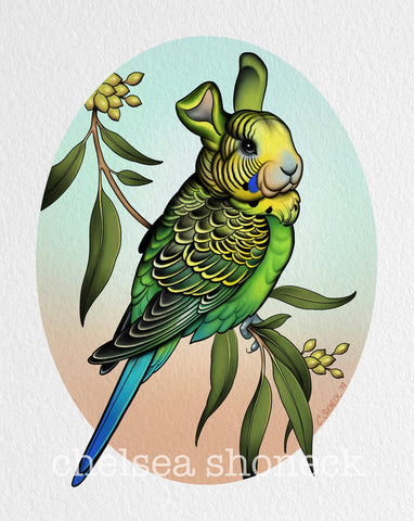 March - Budgie