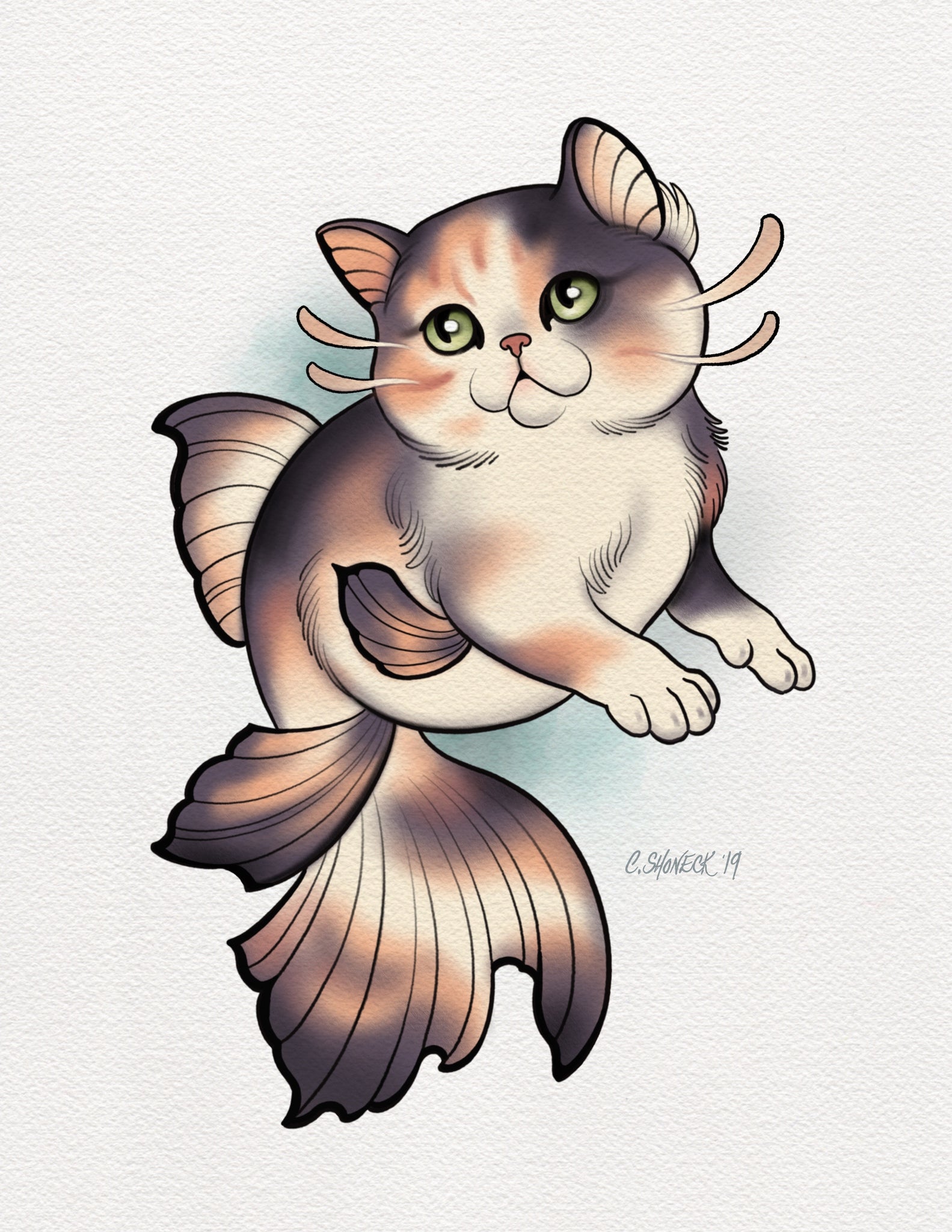 Kittenfish - Calico